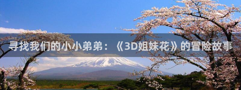 缘之空之风车动漫：寻找我们的小小弟弟：《3D姐妹花》的冒险故事