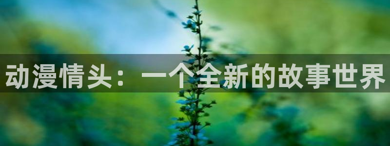 风车动漫530w：动漫情头：一个全新的故事世界