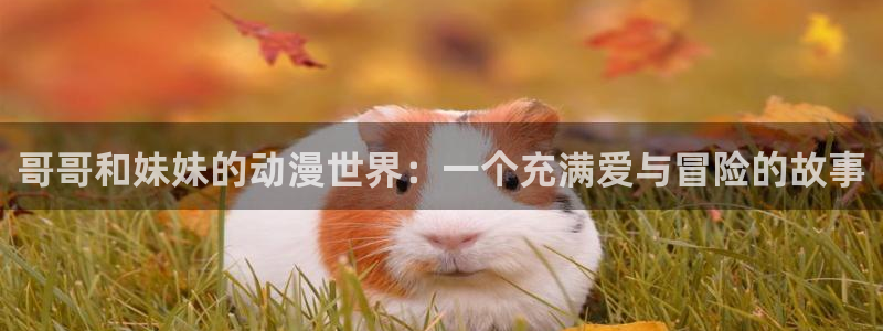 风车动漫下载正版安装：哥哥和妹妹的动漫世界：一个充满爱与冒险的故事