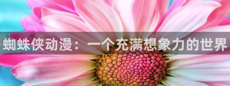 境界触发者风车动漫：蜘蛛侠动漫：一个充满想象力的世界