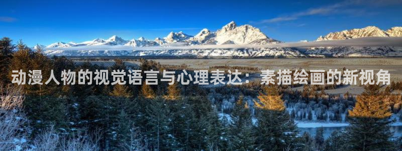 风车动漫网免费：动漫人物的视觉语言与心理表达：素描绘画的新视角