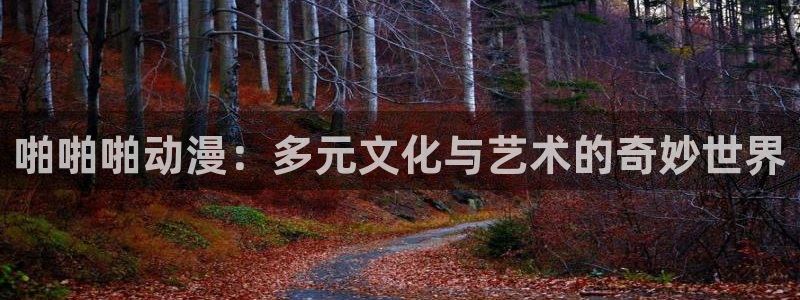 内衣办公室风车动漫：啪啪啪动漫：多元文化与艺术的奇妙世界