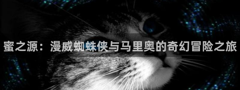 日本风车动漫：蜜之源：漫威蜘蛛侠与马里奥的奇幻冒险之旅