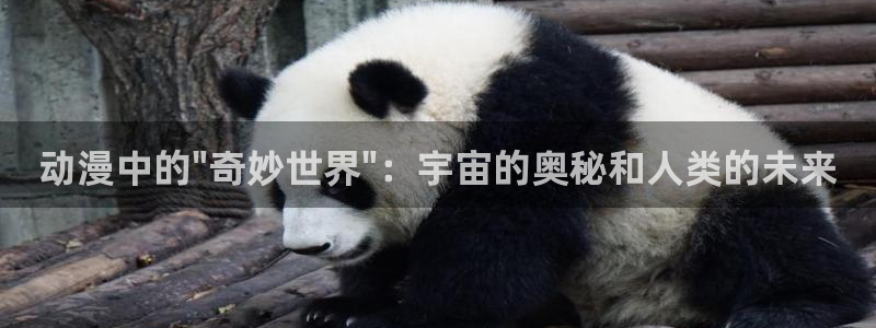 破解版风车动漫：动漫中的\