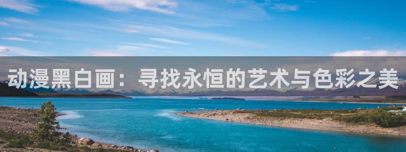 奈克瑟斯奥特曼风车动漫：动漫黑白画：寻找永恒的艺术与色彩之美